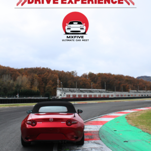 Drive Experience